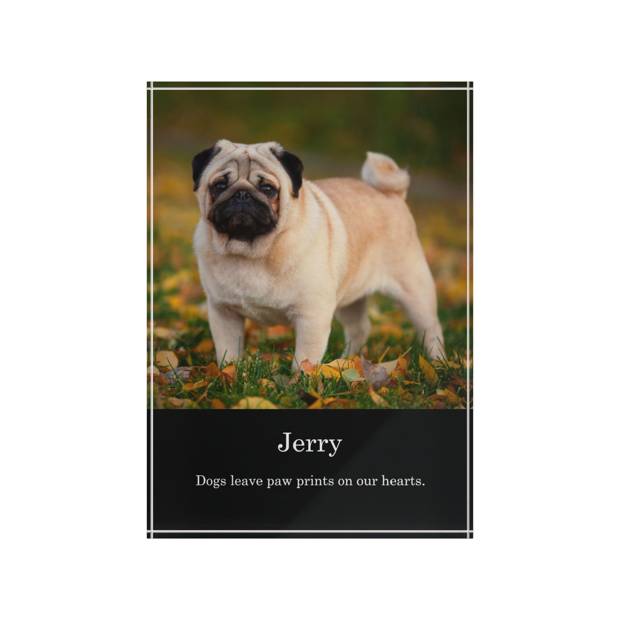 Pet Keepsake Acrylic Photo Block